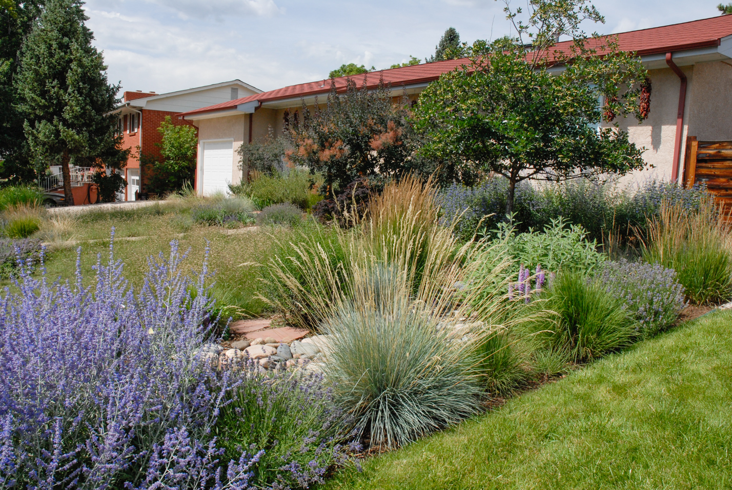 Southwest Spin Xeriscape